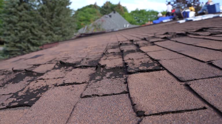 Best Gutter Installation and Repair  in Norman, OK